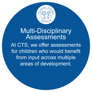 services-cts-multi-disciplinary-assessments