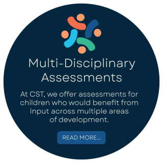 cst-services-multi-disciplinary-assessments